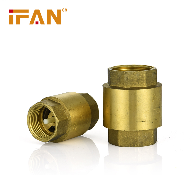 Check Valve