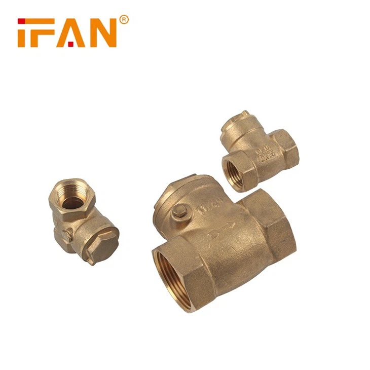 IFAN Plumbing Check Valve - Image 2