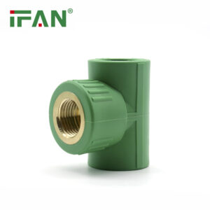 IFAN PPR Tee