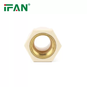 CPVC Socket Brass