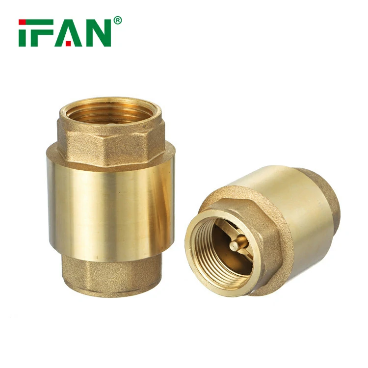 check valve