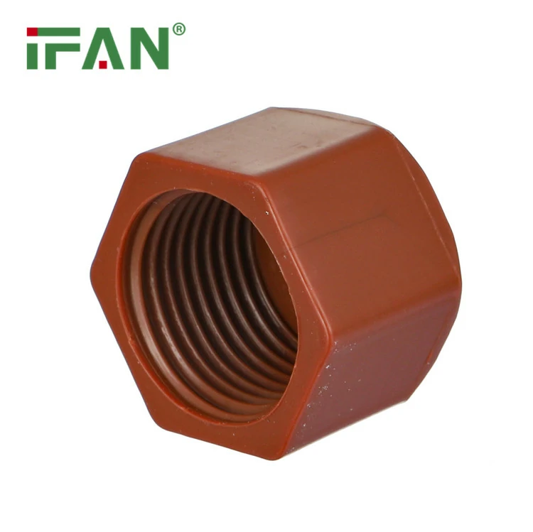 Plastic PPH Thread End Cap