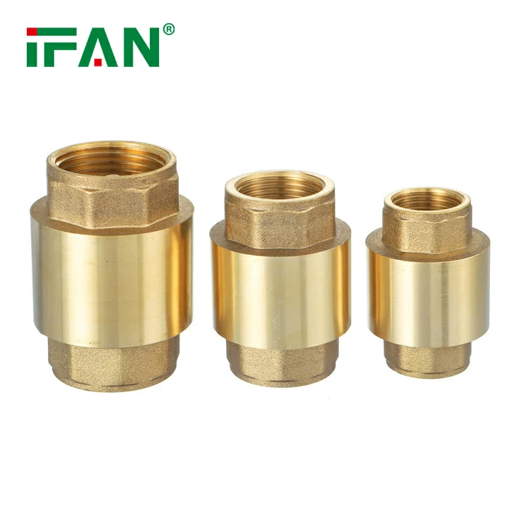 check valve